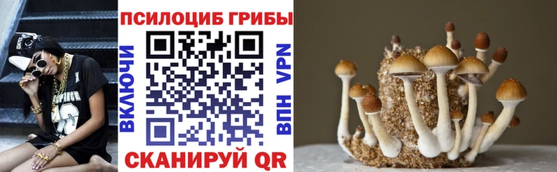 Галлюциногенные грибы MAGIC MUSHROOMS Сызрань